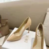 Dior Pumps Style 0029