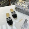 Dior Espadrilles