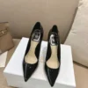 Dior Pumps Style 0110