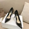 Dior Pumps Style 0110