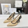 Dior Pumps Style 0124