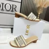 Dior Pumps Style 0137