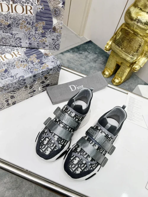 Dior Chunky Sneakers