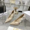 Dior Lambskin Shoes