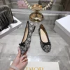 Dior Mules