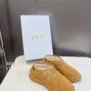 Dior Snow Boots