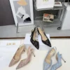 Dior Leather Pumps Style 0561