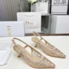 Dior Lambskin Pumps Style 0575