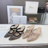 Dior Lambskin Pumps Style 0577