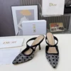 Dior Lambskin Pumps Style 0579